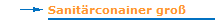 Sanitärconainer groß